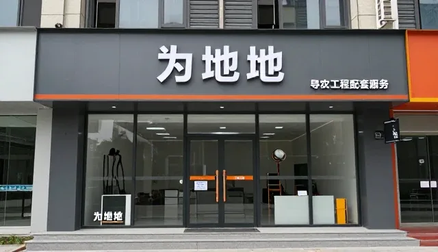 本地化服务在项目选型中的关键作用